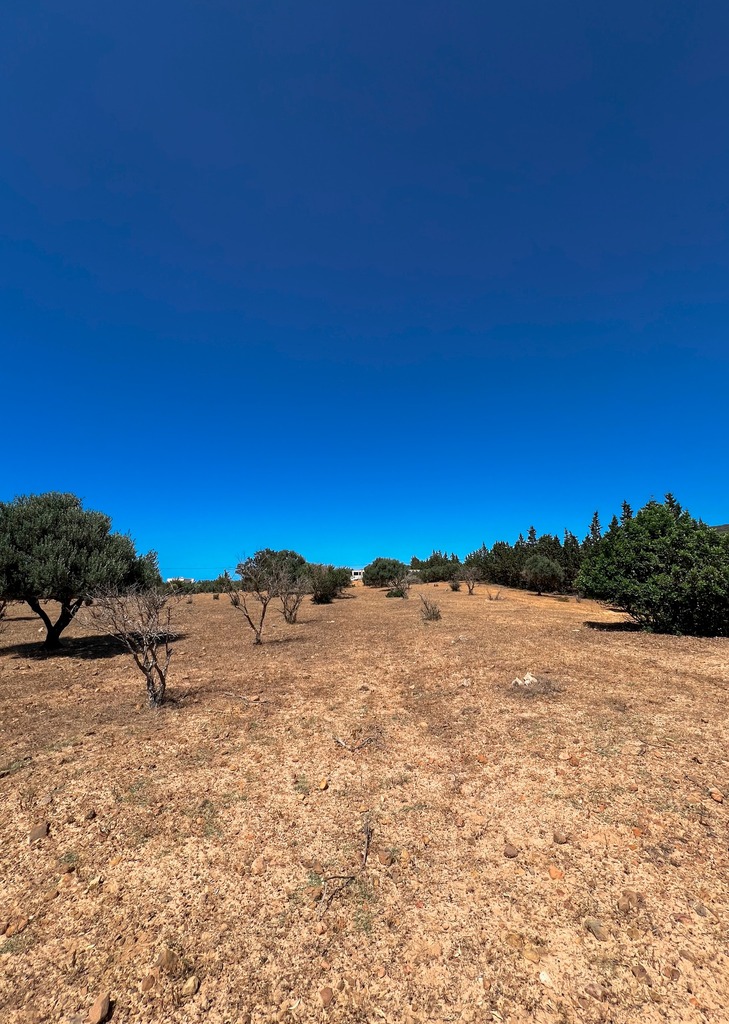 Terrain Rtiba Vue Mer Zembra