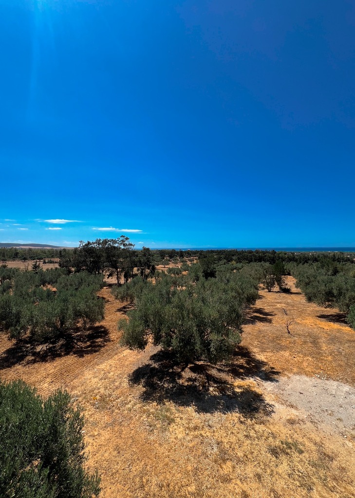 Terrain Rtiba - Vue 4